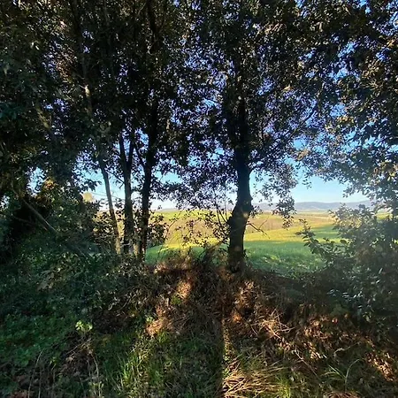 Podere Bellavista In Campagna 度假居