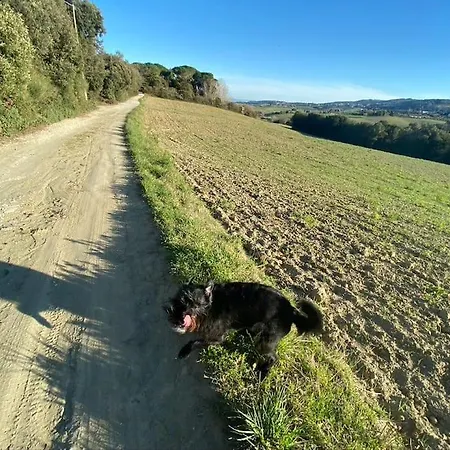 Podere Bellavista In Campagna